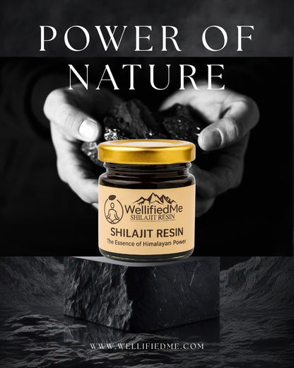 WellifiedMe™ Pure Himalayan Shilajit Stamina Booster – 20g