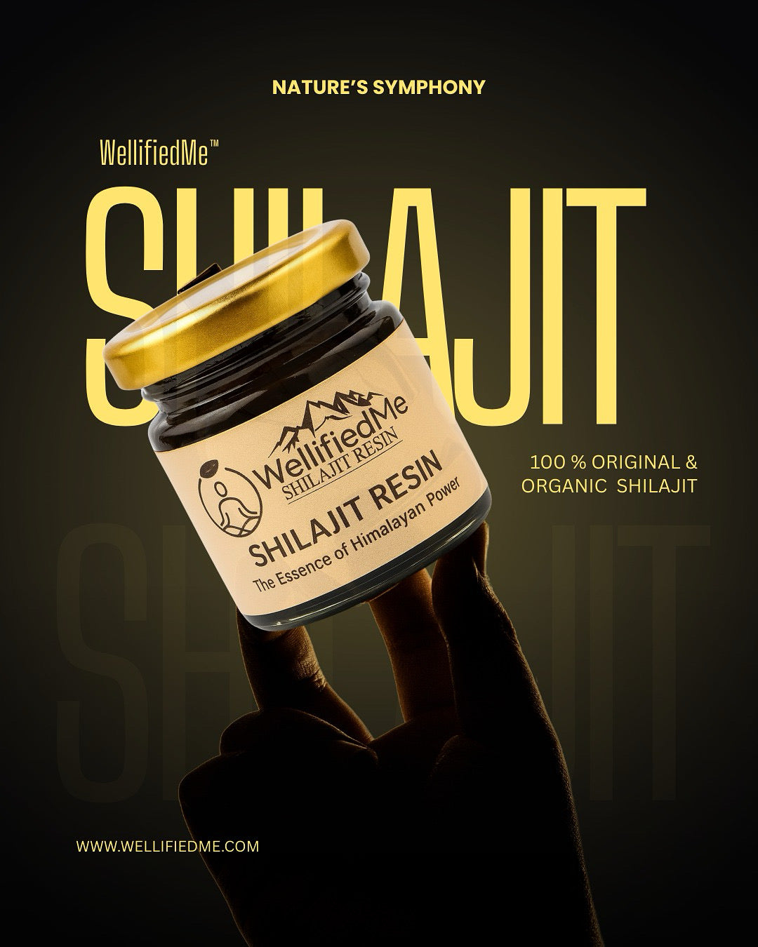 WellifiedMe™ Pure Himalayan Shilajit Stamina Booster – 20g