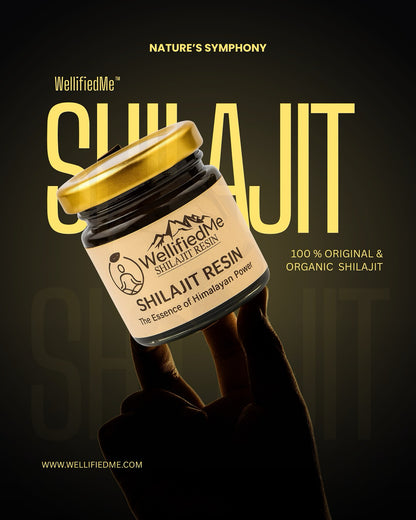 WellifiedMe™ Pure Himalayan Shilajit Stamina Booster – 20g