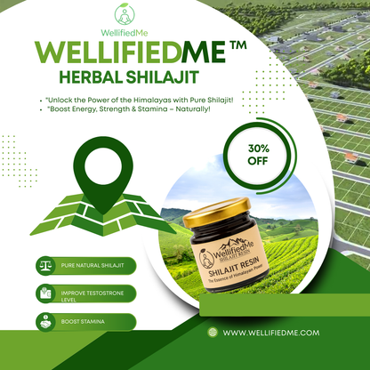 WellifiedMe™ Pure Himalayan Shilajit Stamina Booster – 20g